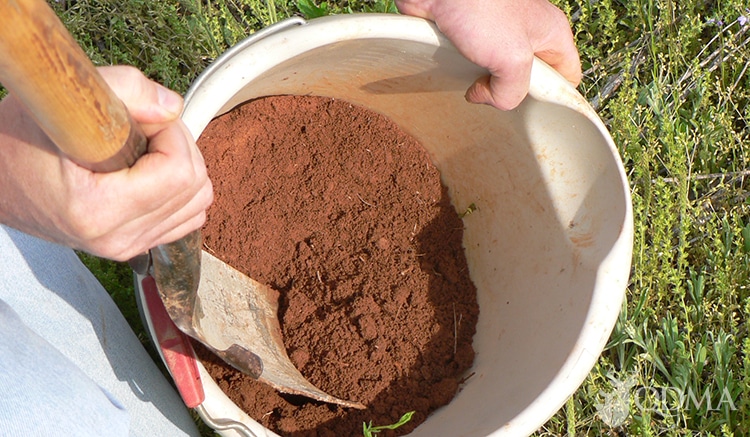 soil testing lead