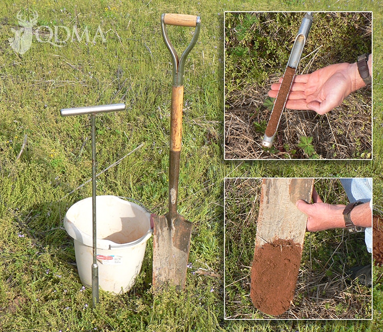 A local farmer or your county extension office can loan you a soil-testing probe, but a standard spade or shovel will also work for collecting soil samples.