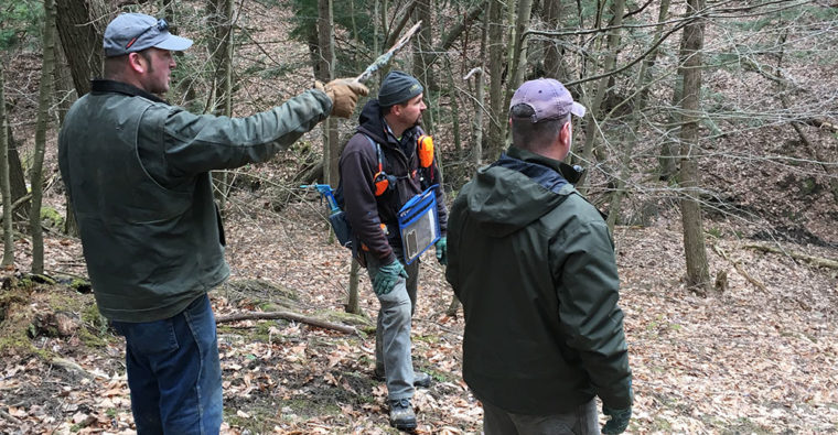 Forester meeting with a landowner to discuss deer habitat improvement